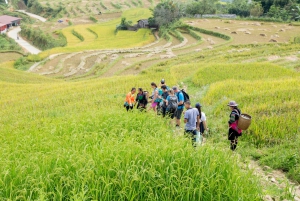 2-Day Sa Pa Ethnic Homestay Tour & Trek with Limousine Bus
