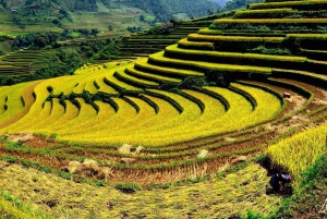 From Hanoi: 2-Day Sa Pa Ethnic Homestay Tour with Trekking