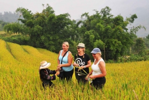 From Hanoi: 2-Day Sa Pa Ethnic Homestay Tour with Trekking