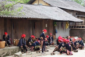 From Hanoi: 2-Day Sa Pa Ethnic Homestay Tour with Trekking