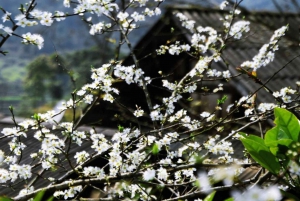 From Hanoi: Sapa 3-Day Medium Trek and Limousine Trip