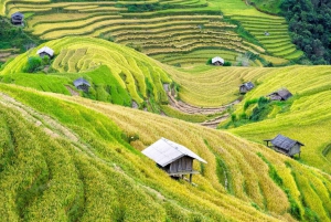 From Hanoi: Sapa 3-Day Medium Trek and Limousine Trip