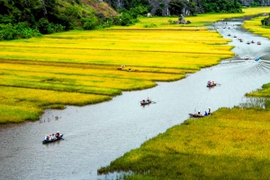 From Hanoi: Tam Coc, Hoa Lu & Mua Caves Full-Day Trip