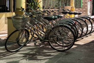 From Hanoi: Tam Coc, Hoa Lu & Mua Caves Full-Day Trip