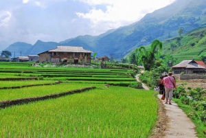 From Hanoi: Two-Day Sapa Tour with Fansipan Peak Visit