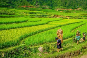 From Hanoi: Two-Day Sapa Tour with Fansipan Peak Visit
