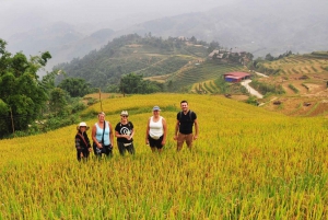 From Hanoi: Two-Day Sapa Tour with Fansipan Peak Visit