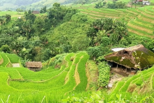 Hanoi: 4-Day Ha Giang Loop – UNESCO Tour with Meals and Stay