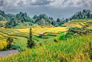 Hanoi: 4-Day Ha Giang Loop – UNESCO Tour with Meals and Stay