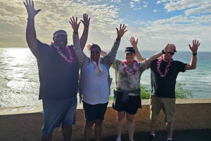 素晴らしいサークルアイランドツアー