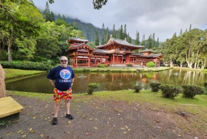 素晴らしいサークルアイランドツアー