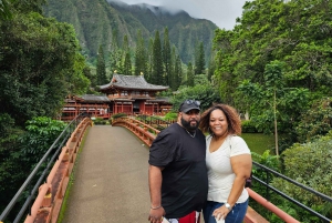 素晴らしいサークルアイランドツアー