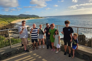 素晴らしいサークルアイランドツアー