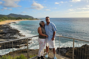 素晴らしいサークルアイランドツアー