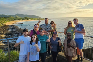 素晴らしいサークルアイランドツアー