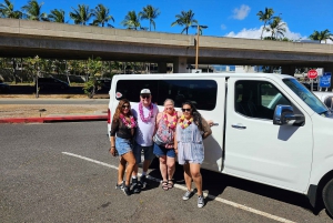 素晴らしいサークルアイランドツアー