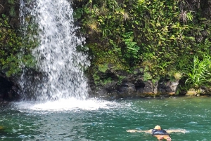 素晴らしいサークルアイランドツアー