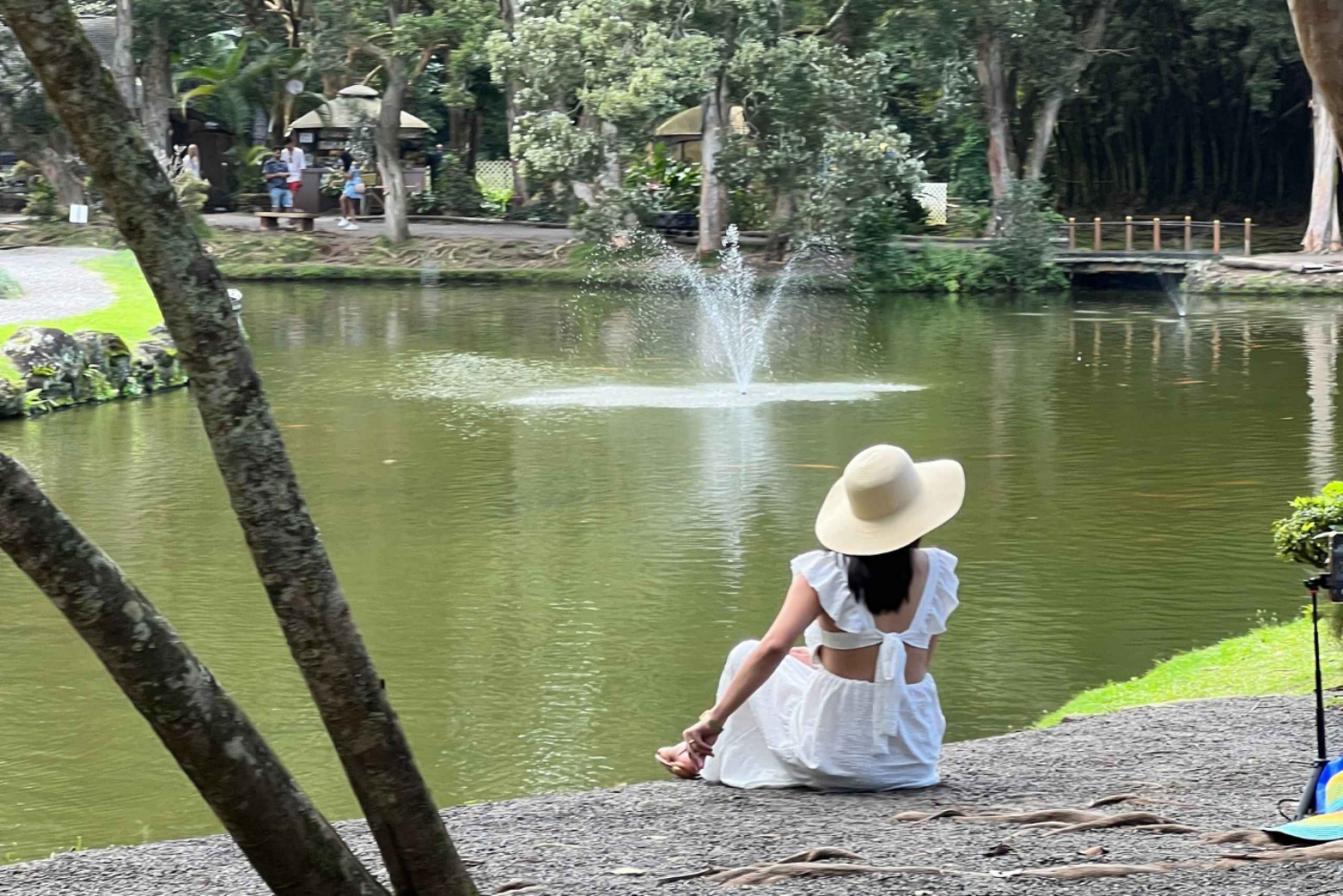 Det bästa av Oahu på en dag