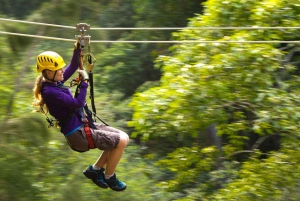 Grande île : 3 heures d'aventure en tyrolienne sur la canopée de Kohala