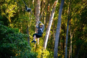 Grande île : Journée entière de zipline et d'aventure dans les chutes d'eau de Kohala