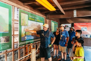 Ilha Grande, Havaí: Excursão ao vulcão e observação de estrelas com jantar