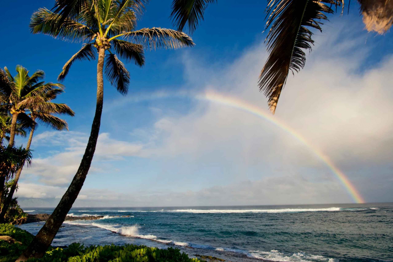 Big Island: Vulkan, svart sandstrand, vattenfall, med lunch