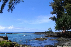 From Kona: Volcano & Waterfall Tour, Small Group