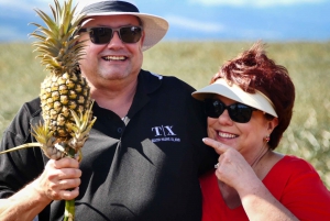 Hali'imaile: Pineapple Farm Tour