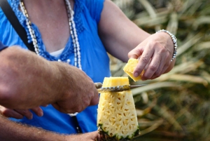Hali'imaile: Pineapple Farm Tour