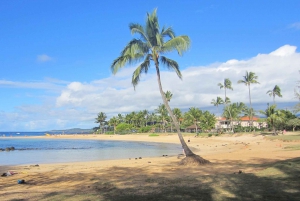 Kauai : Visite privée de luxe personnalisée
