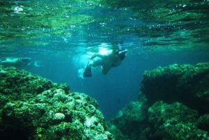 Kauai: Na Pali Coast Snorkel Tour With Lunch