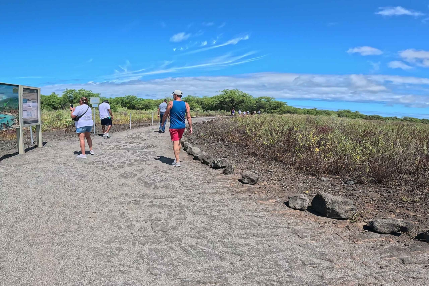 Kona: Kaffe- och havssköldpaddstur