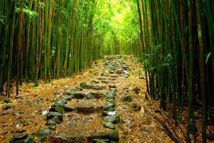 Maui: Dagens vandringstur med lunch