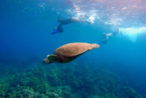 ワイレアビーチ：ガイド付きシースクータースノーケリングツアー