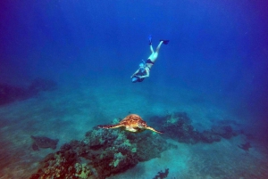 ワイレアビーチ：ガイド付きシースクータースノーケリングツアー