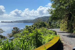 Maui: Road to Hana Private Adventure Tour with Luxury SUV