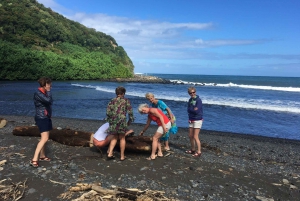 Maui: Road to Hana Private Adventure Tour with Luxury SUV