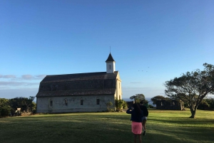 Maui: Road to Hana Private Adventure Tour with Luxury SUV