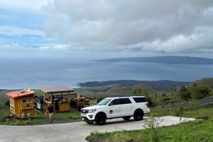 Maui: Road to Hana Private Adventure Tour with Luxury SUV