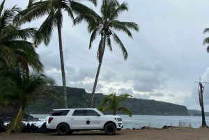 Maui: Road to Hana Private Adventure Tour with Luxury SUV