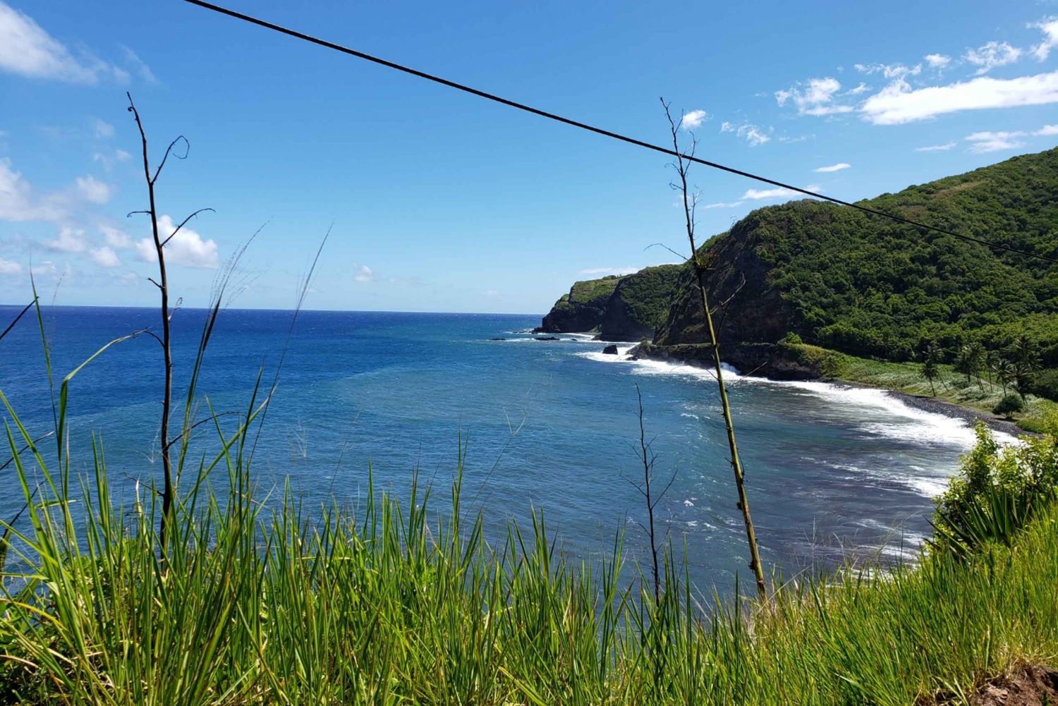 Maui : Road to Hana Tour w/ Pickup near Cruise Port