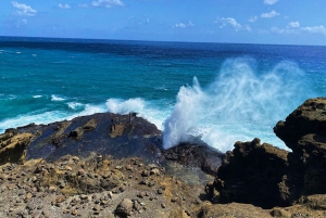 Oahu: Diamond Head Crater Hike and North Shore Experience