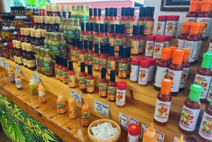 Oahu: Diamond Head Crater Hike and North Shore Experience