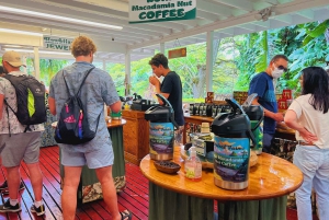 Oahu: Diamond Head Crater Hike and North Shore Experience