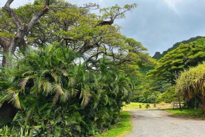Oahu: Diamond Head Crater Hike and North Shore Experience