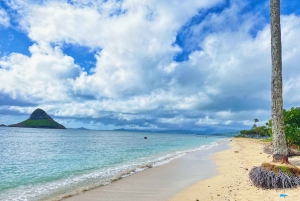 Oahu: Diamond Head Crater Hike and North Shore Experience