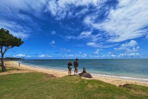 Oahu: Diamond Head Crater Hike and North Shore Experience