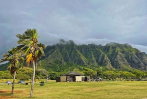 Oahu: Diamond Head Crater Hike and North Shore Experience
