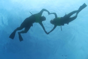 Oahu: Dolphin Watching with Lunch and Ocean Sports