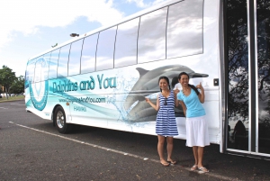 Oahu: Dolphin Watching with Lunch and Ocean Sports